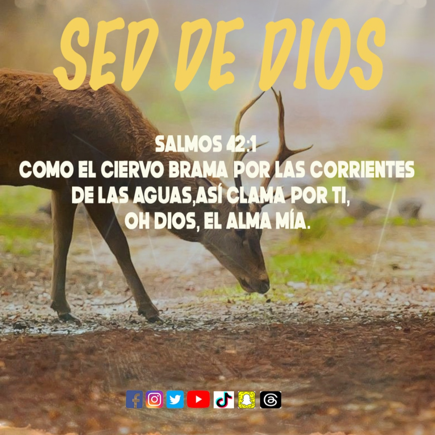 Sed de Dios /Edgar Calderon/Palabra Ungida episode artwork