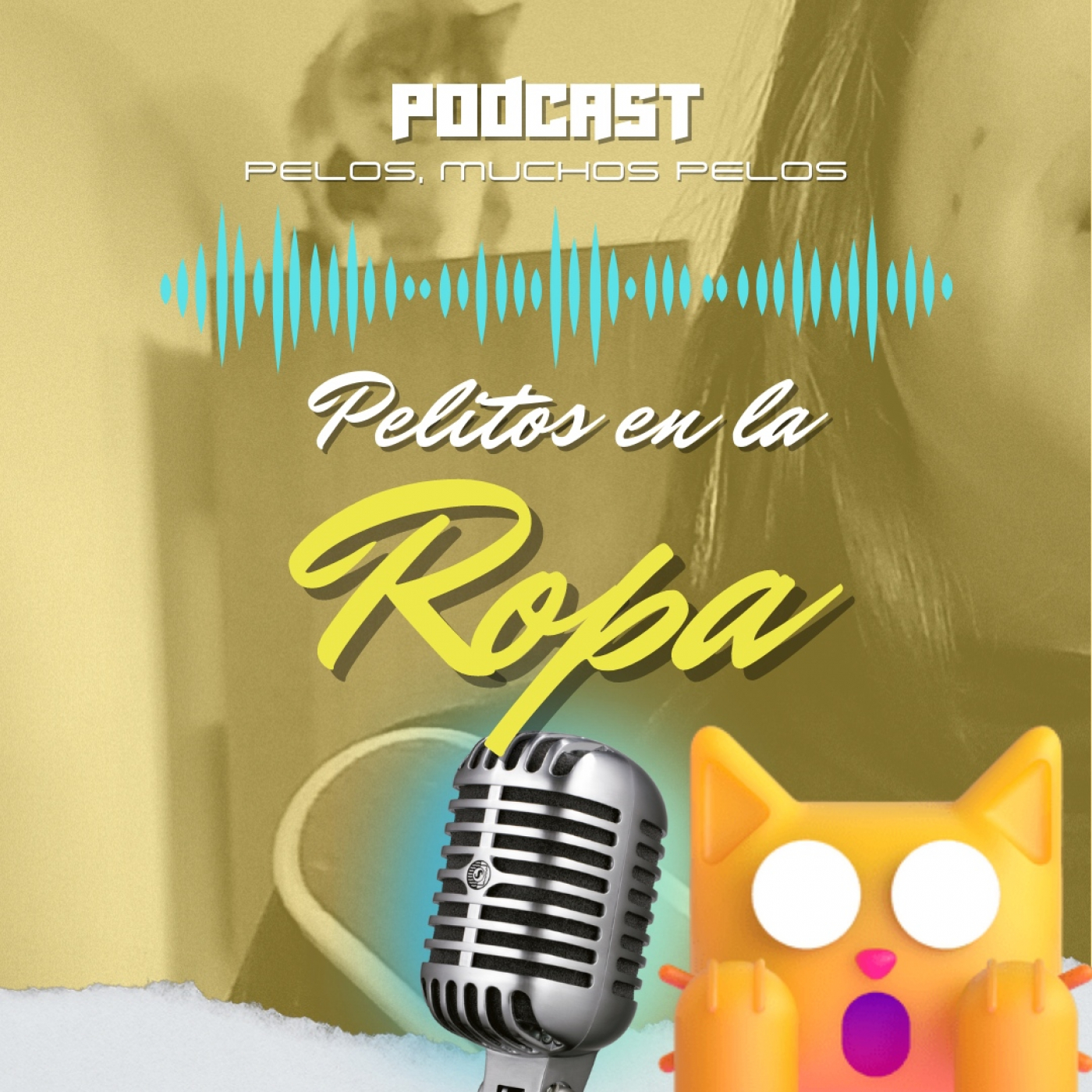 PELR: Pelitos en la Ropa