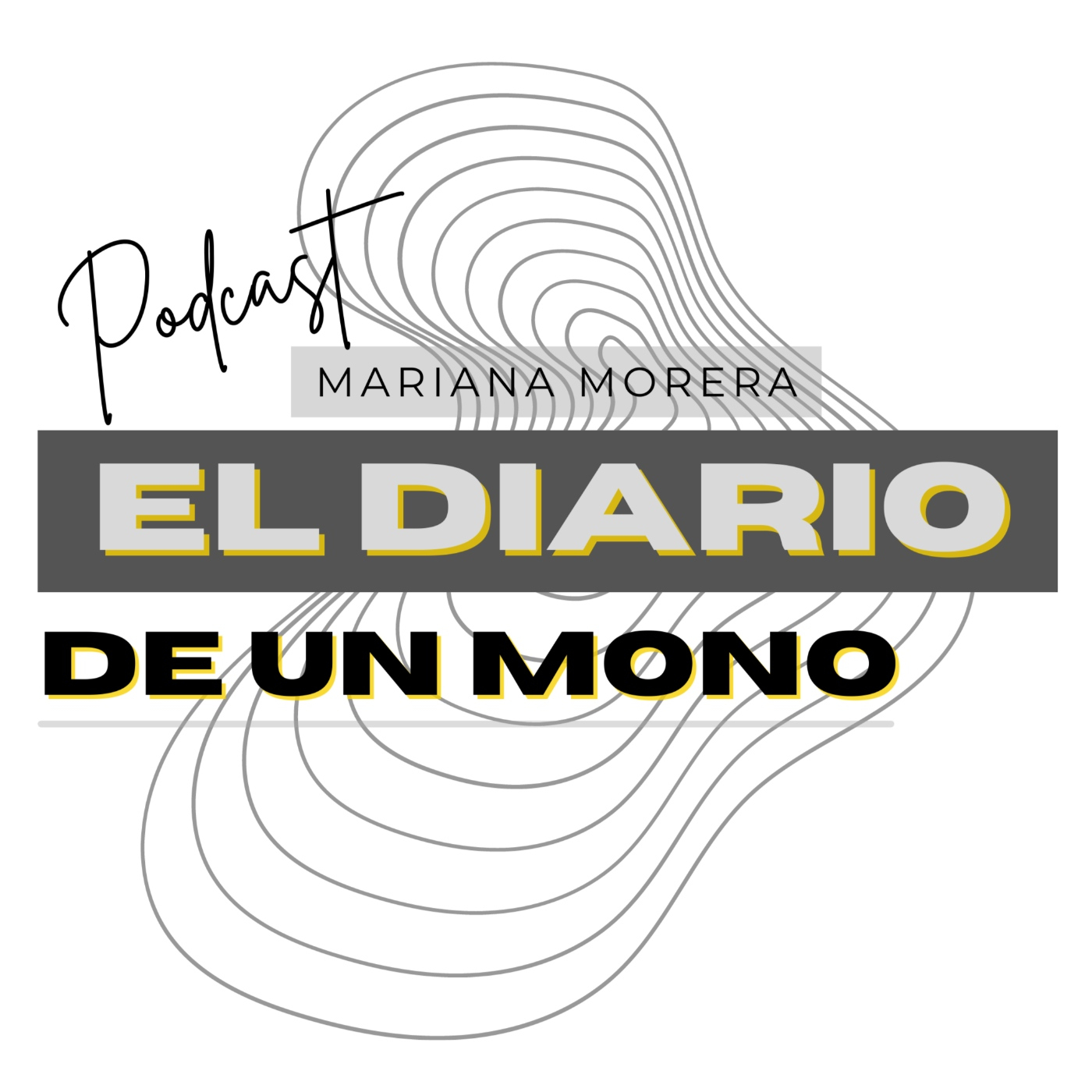 El Diario de un artista