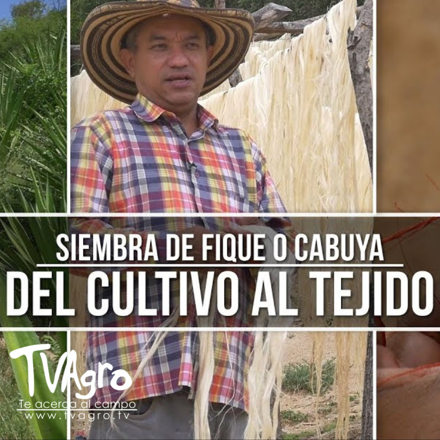 TV AGRO