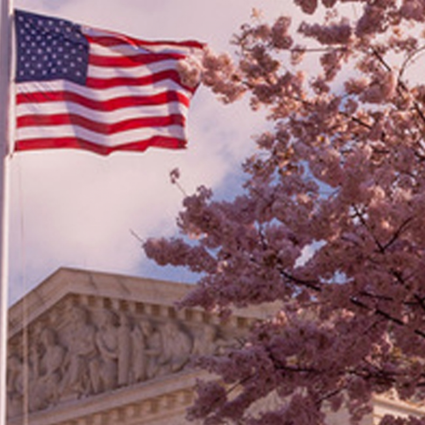 🏆 7 valores USA más comprados por los Hedge Funds 🏆