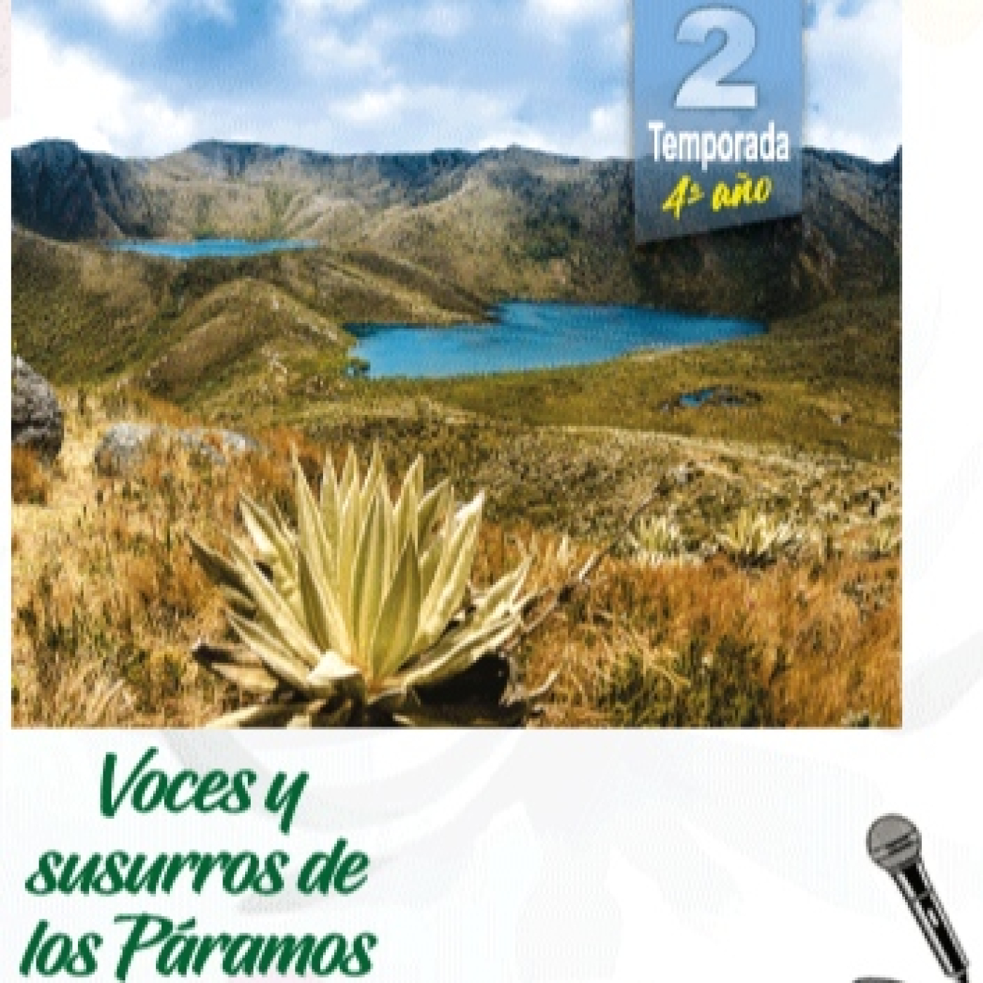 Radiorevista N°29 -Temporada 3 - Acciones por el cambio día mundial del árbol episode artwork