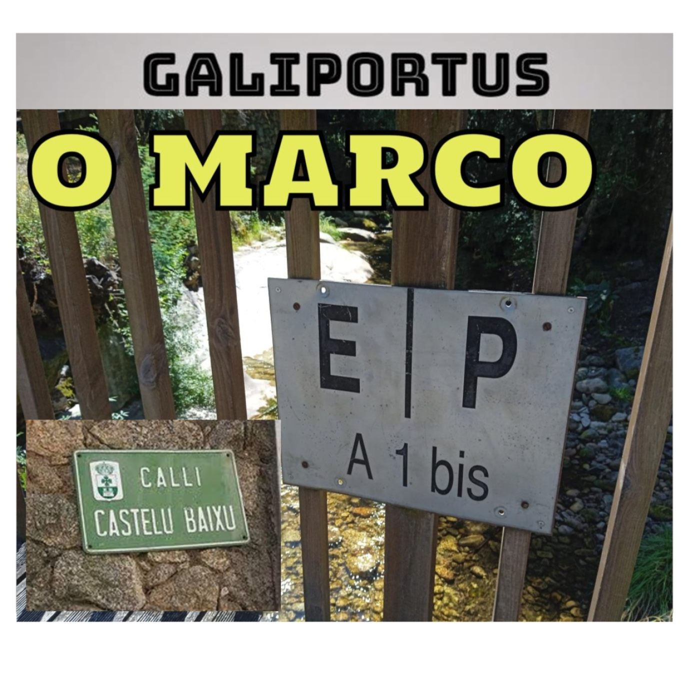 GALIPORTUS