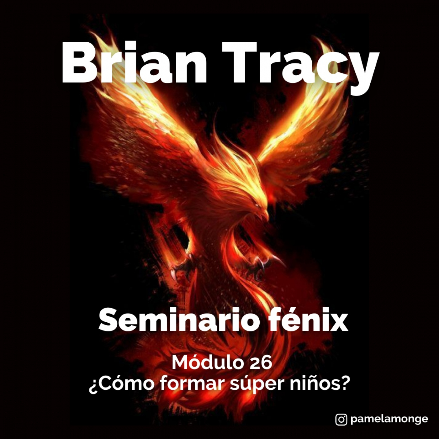 Seminario fénix - Brian Tracy
