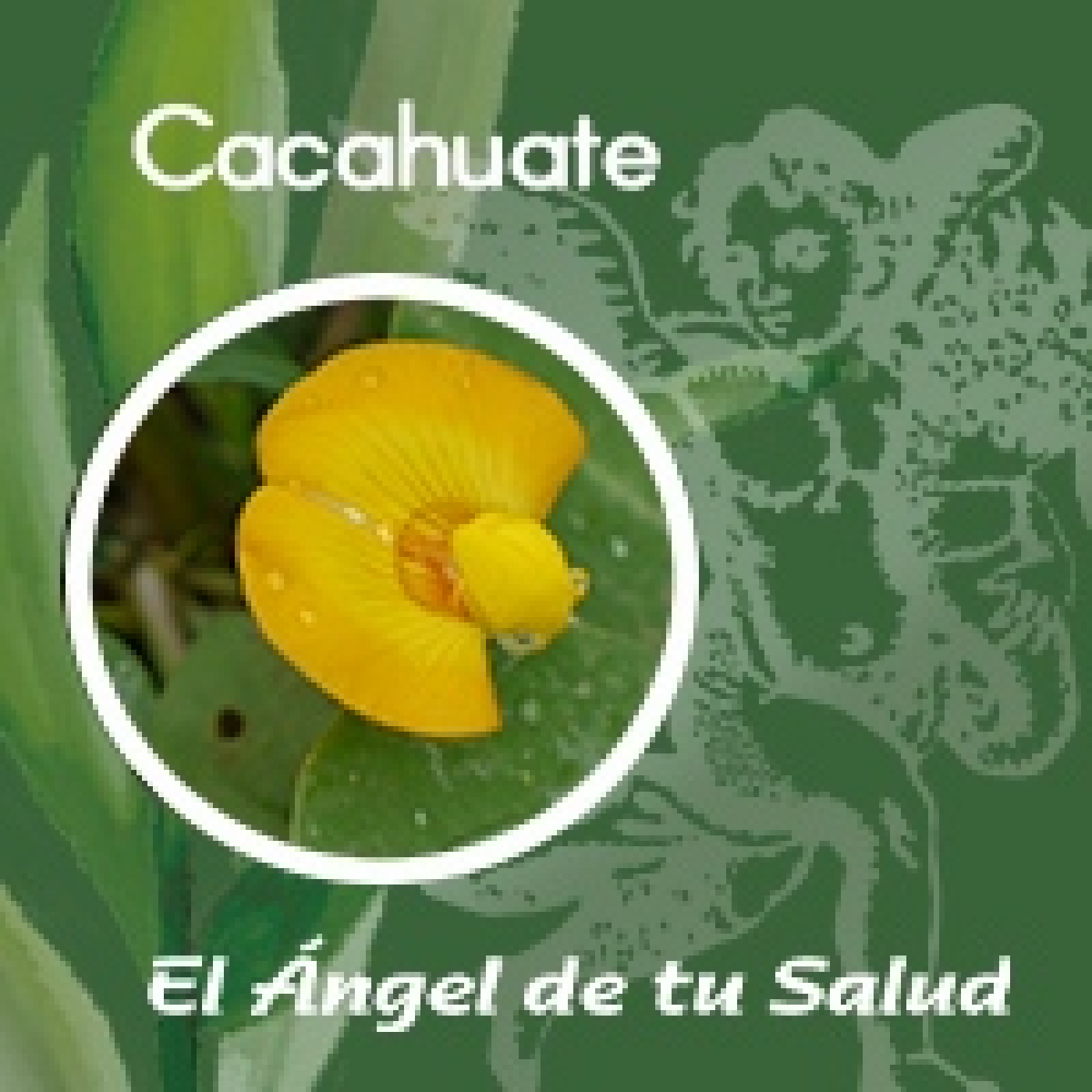 El Ángel de tu Salud - Cacahuate ** episode artwork
