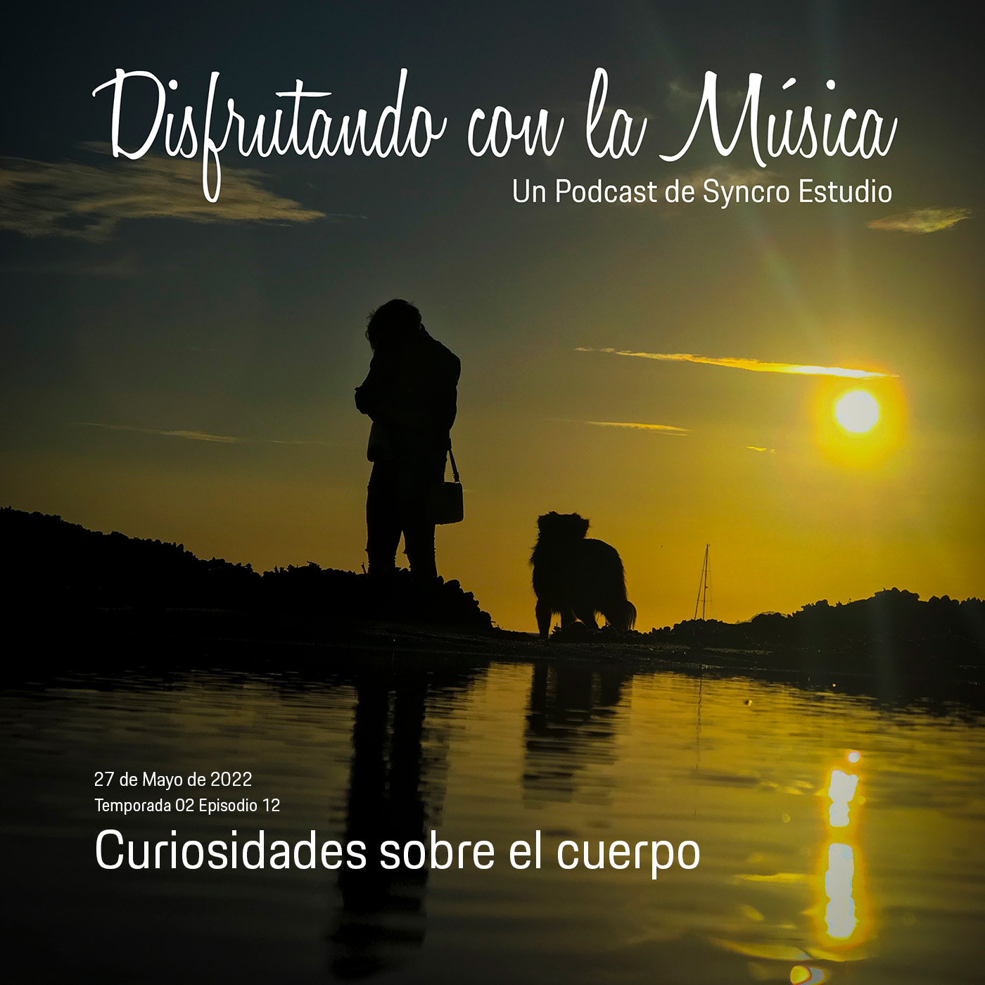 Disfrutando con la Música