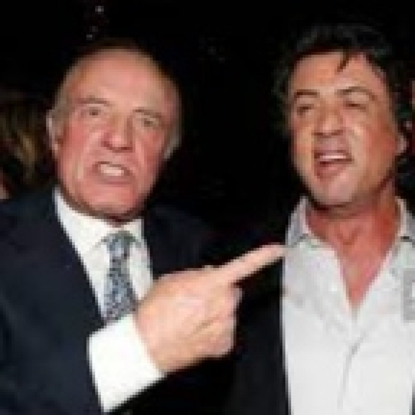 Stallone de mi vida