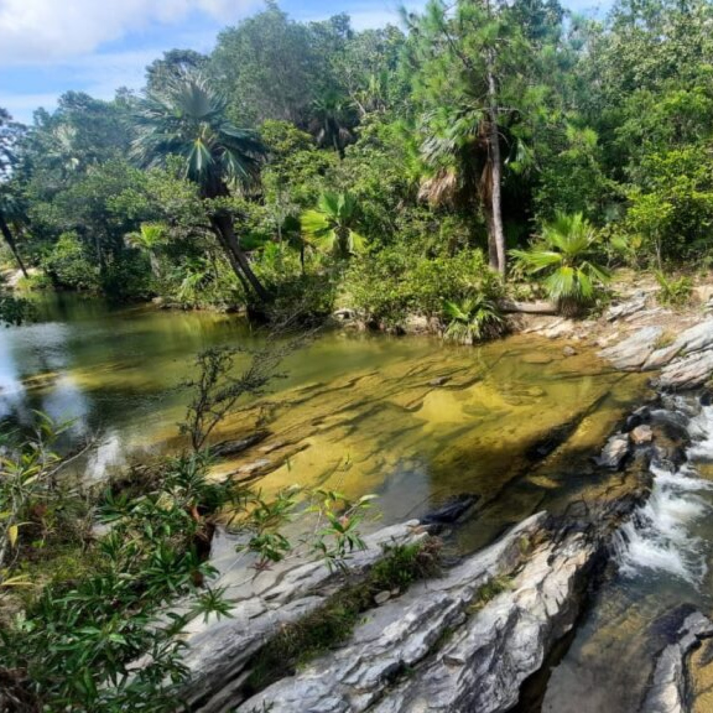 “Un buen medio ambiente es calidad de vida”