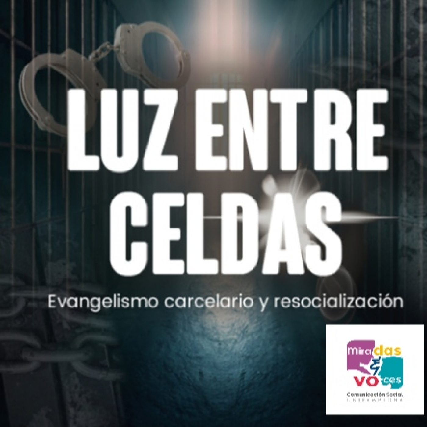 Miradas y Voces