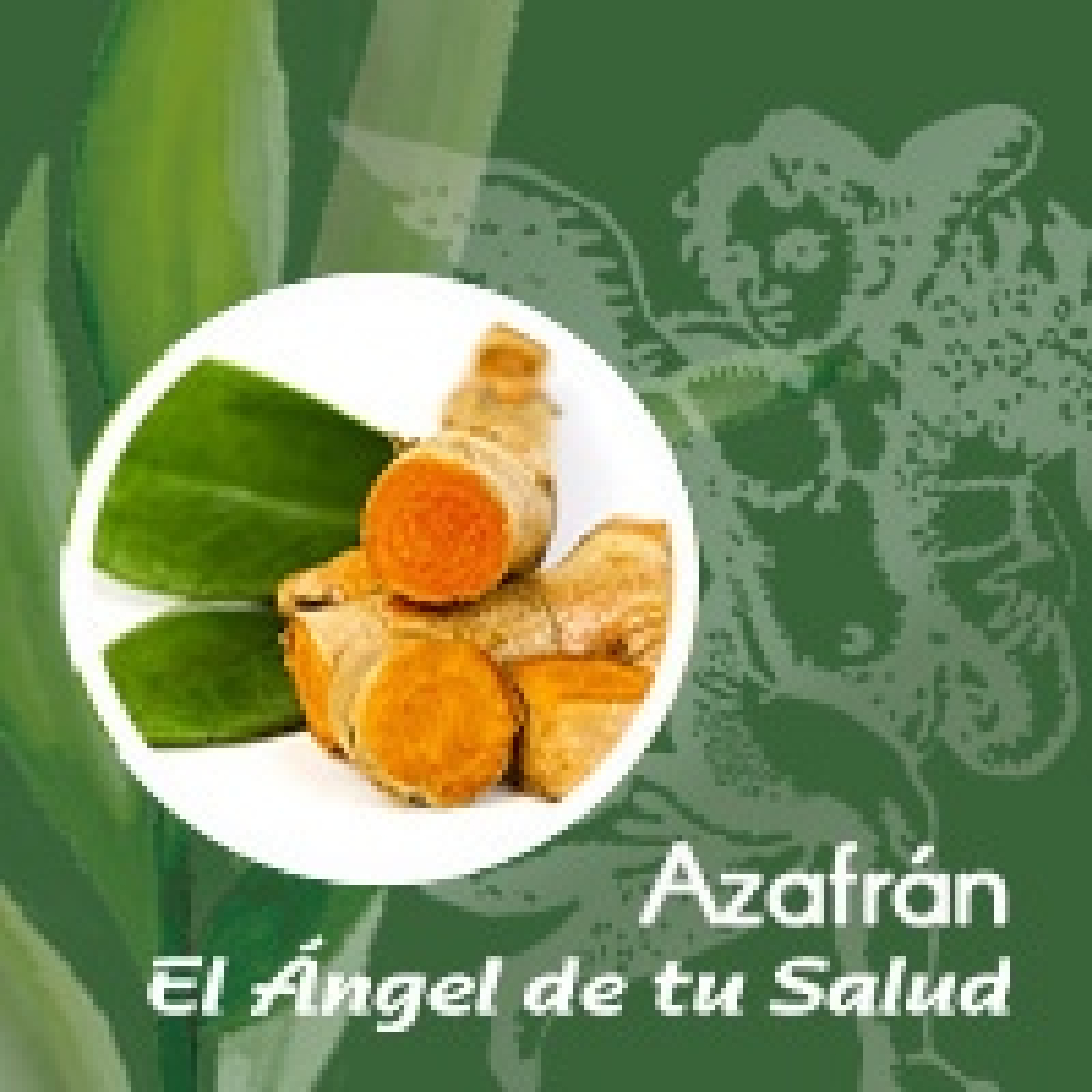 El Ángel de tu Salud - Azafrán** episode artwork