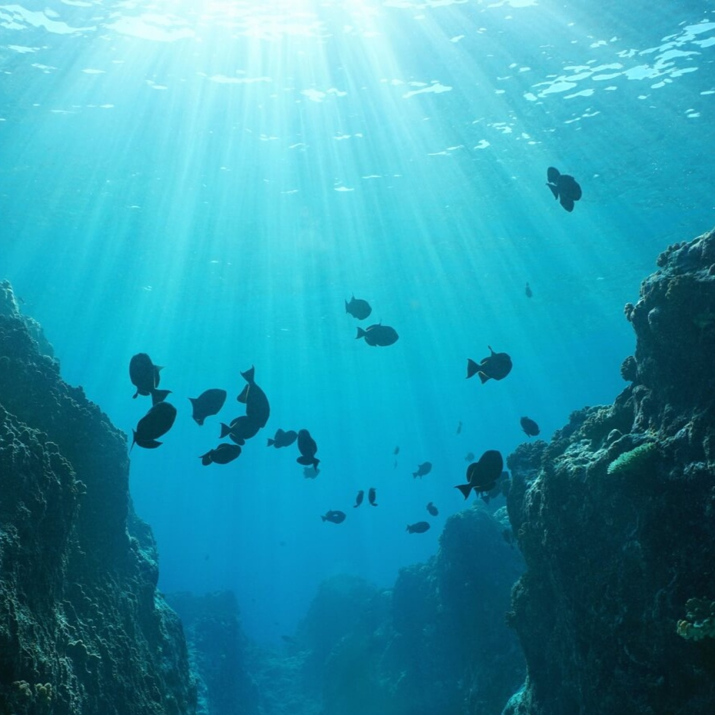 Es La Mañana De Elche y Comarca