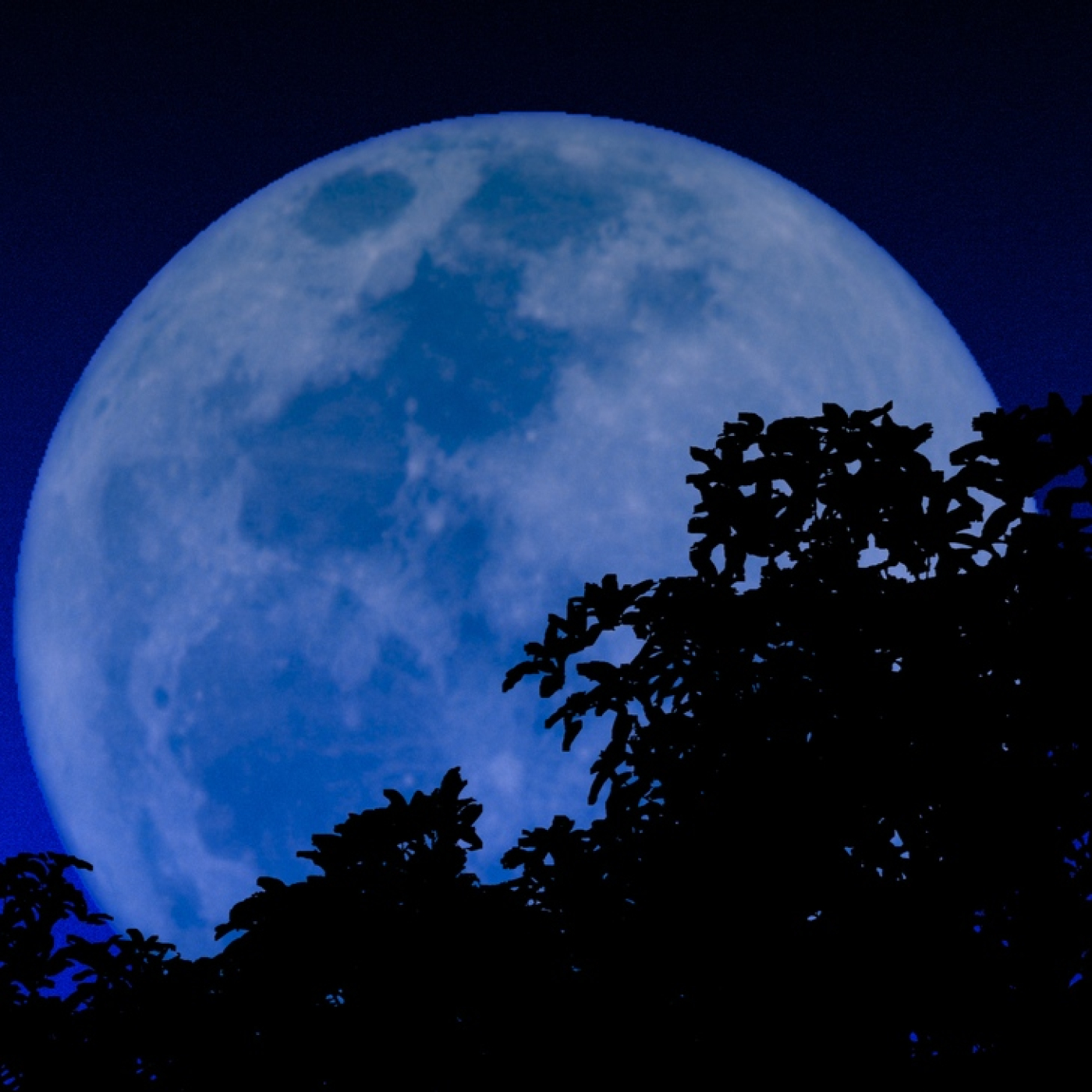 Extraterrestre: 2- Luna Azul #ciencia #universo #documental #podcast episode artwork