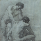 embed image