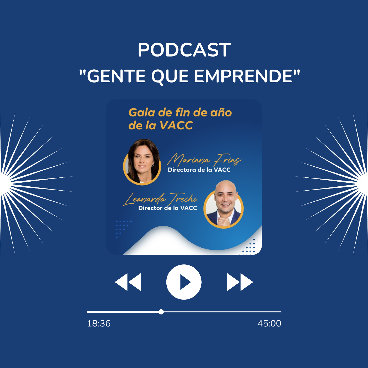 VDM Radio