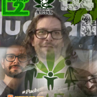 embed image