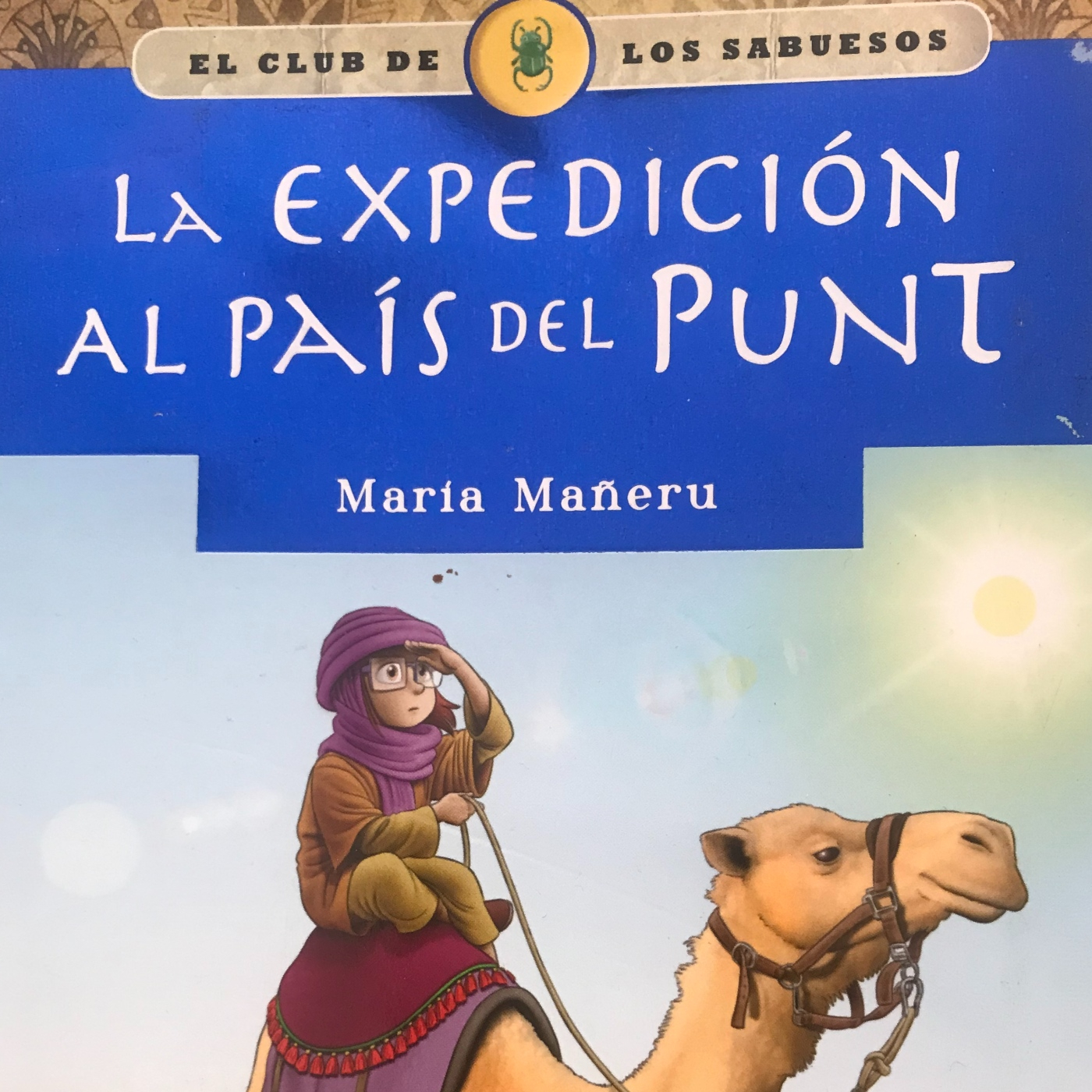 La expedición al País del Punt. Cuarta parte.