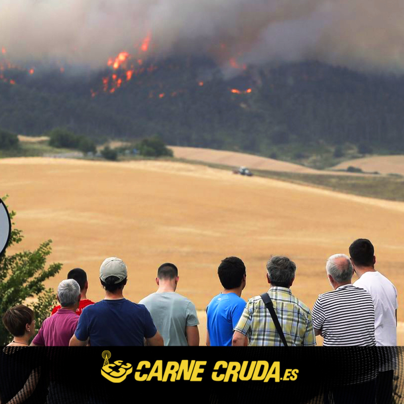 Carne Cruda - PROGRAMAS