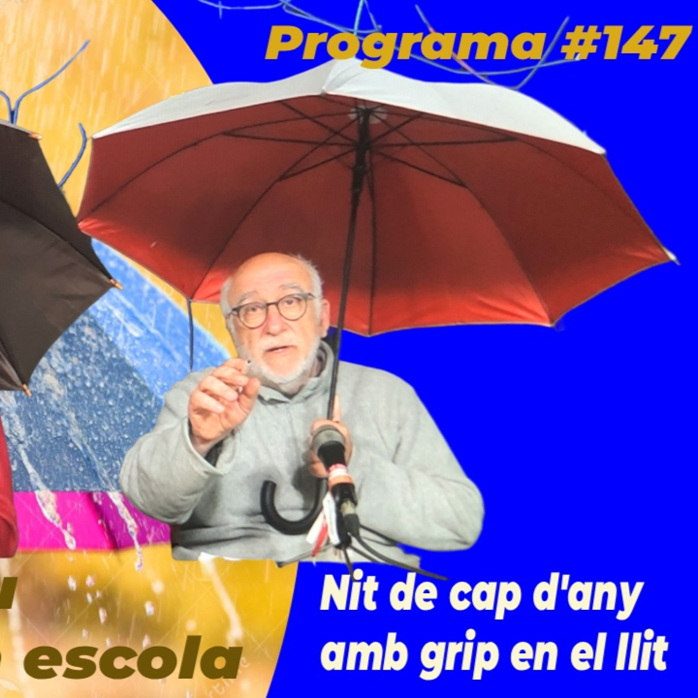 Nit de cap d'any amb grip en el llit – Sempre plou quan no fan escola 147 episode artwork