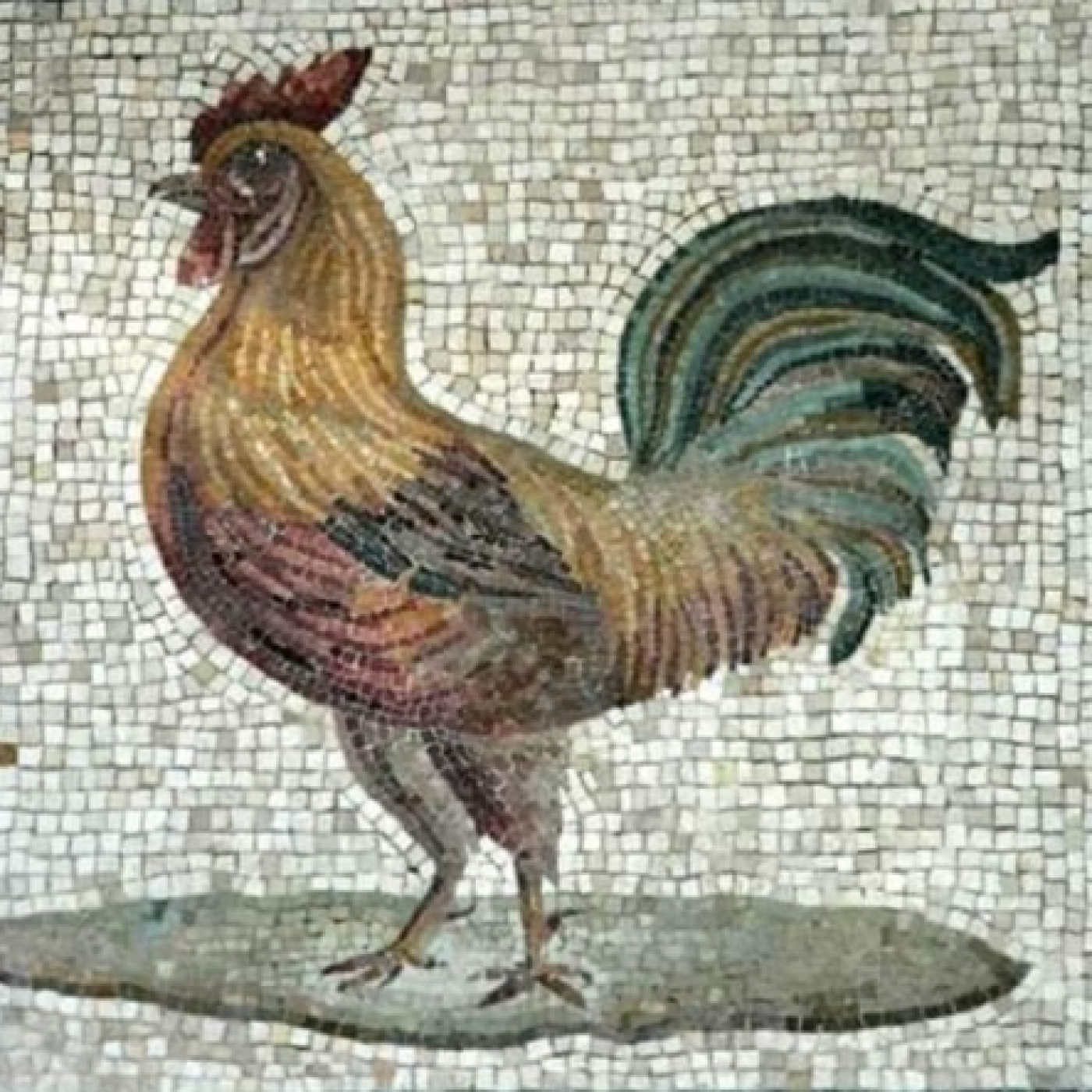 DAVAR AJER NOU