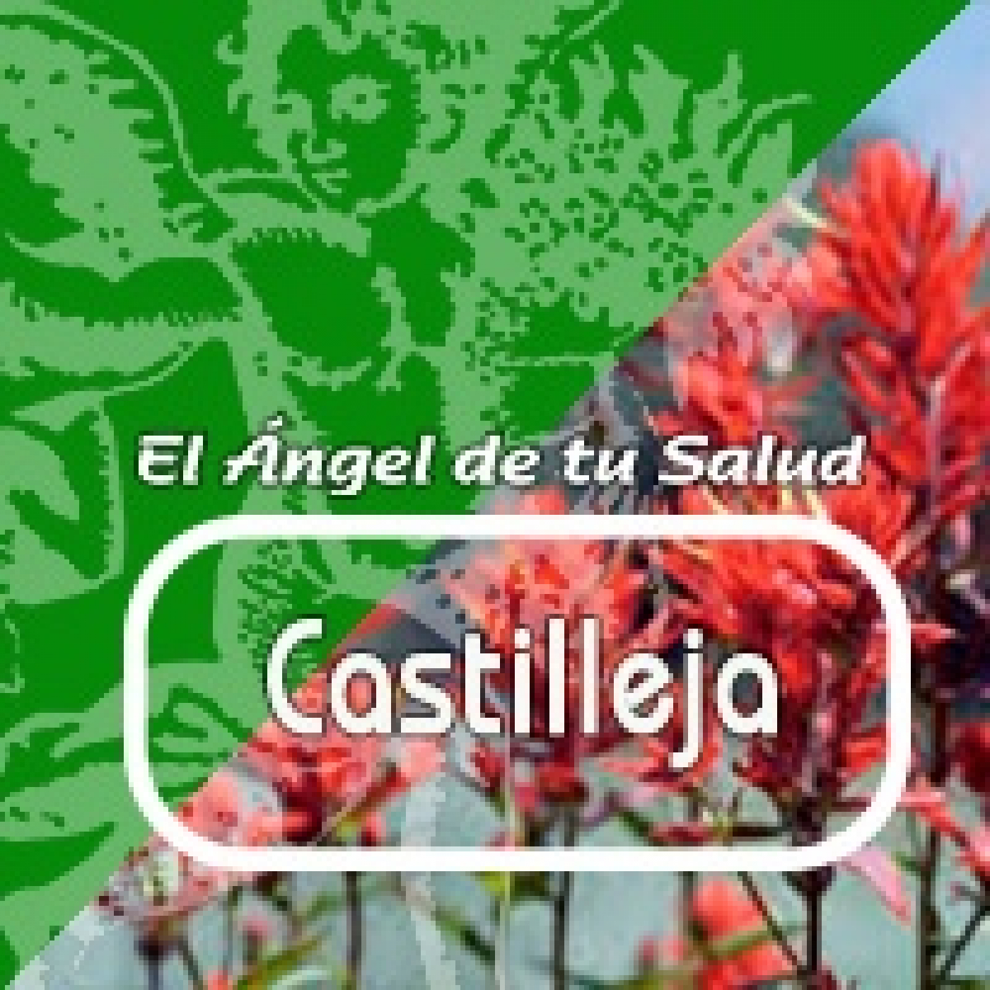 El Ángel de tu Salud - CASTILLEJA ** episode artwork