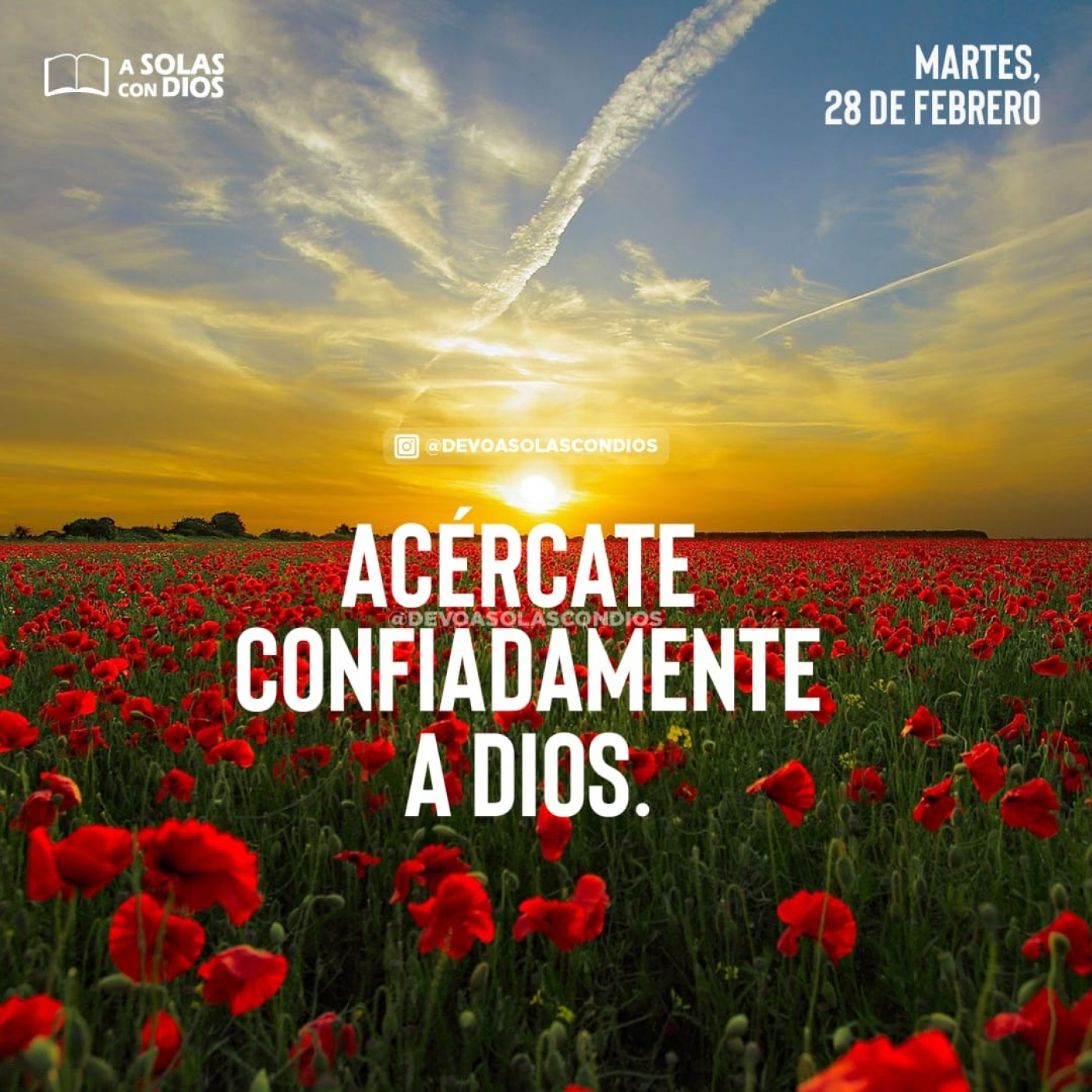 A Solas con Dios