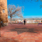 embed image