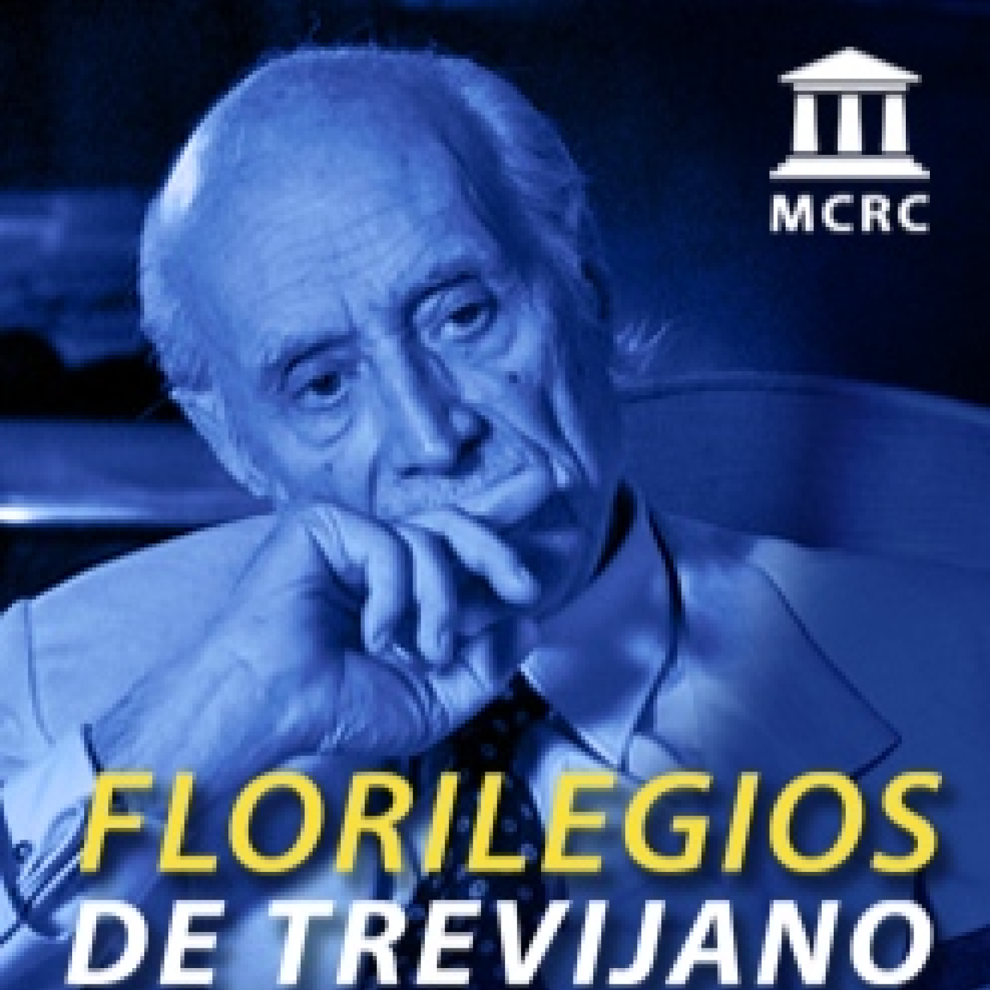 Radio Libertad Constituyente