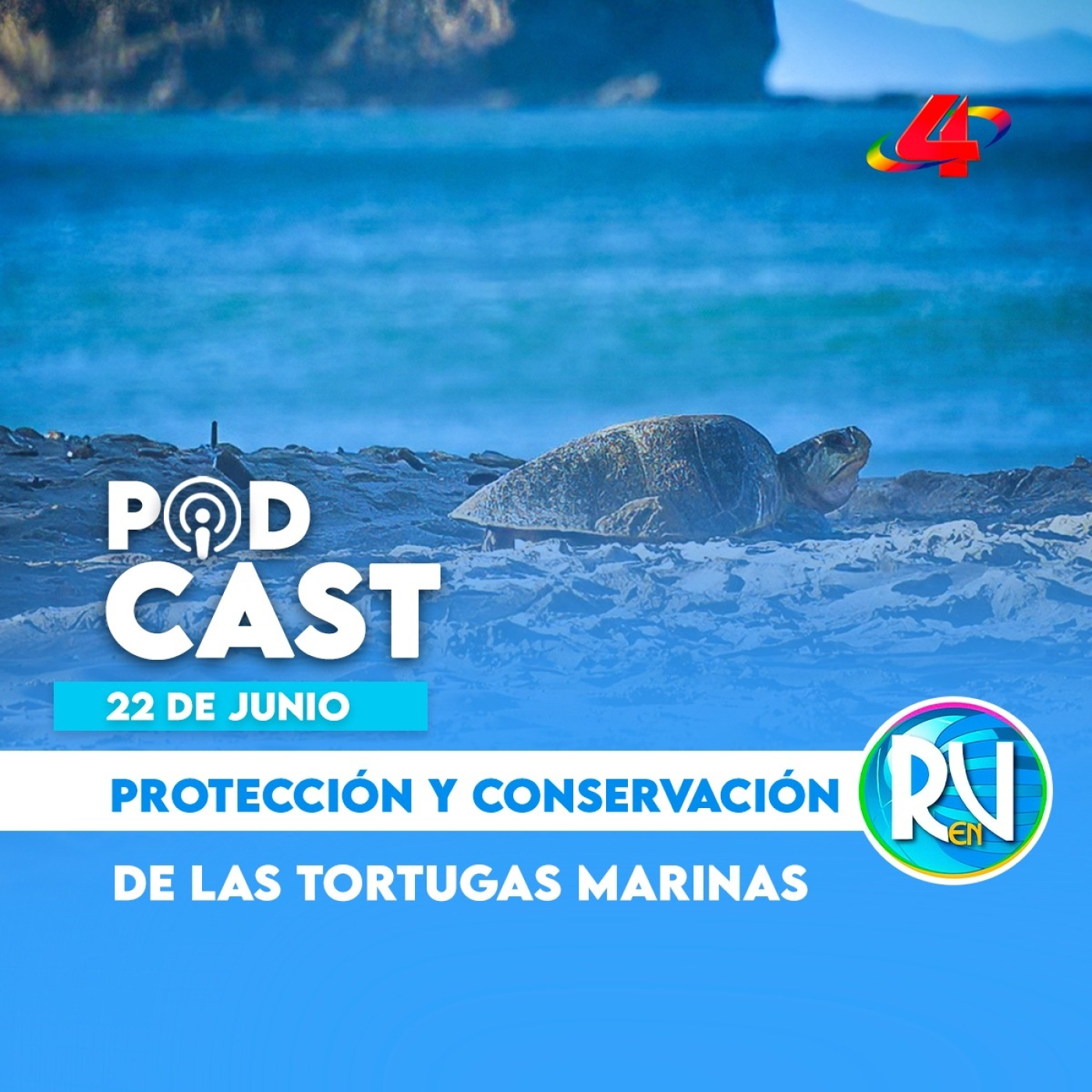 Refugio La Flor: Santuario de anidación y protección de tortugas en Nicaragua | Revista en Vivo episode artwork