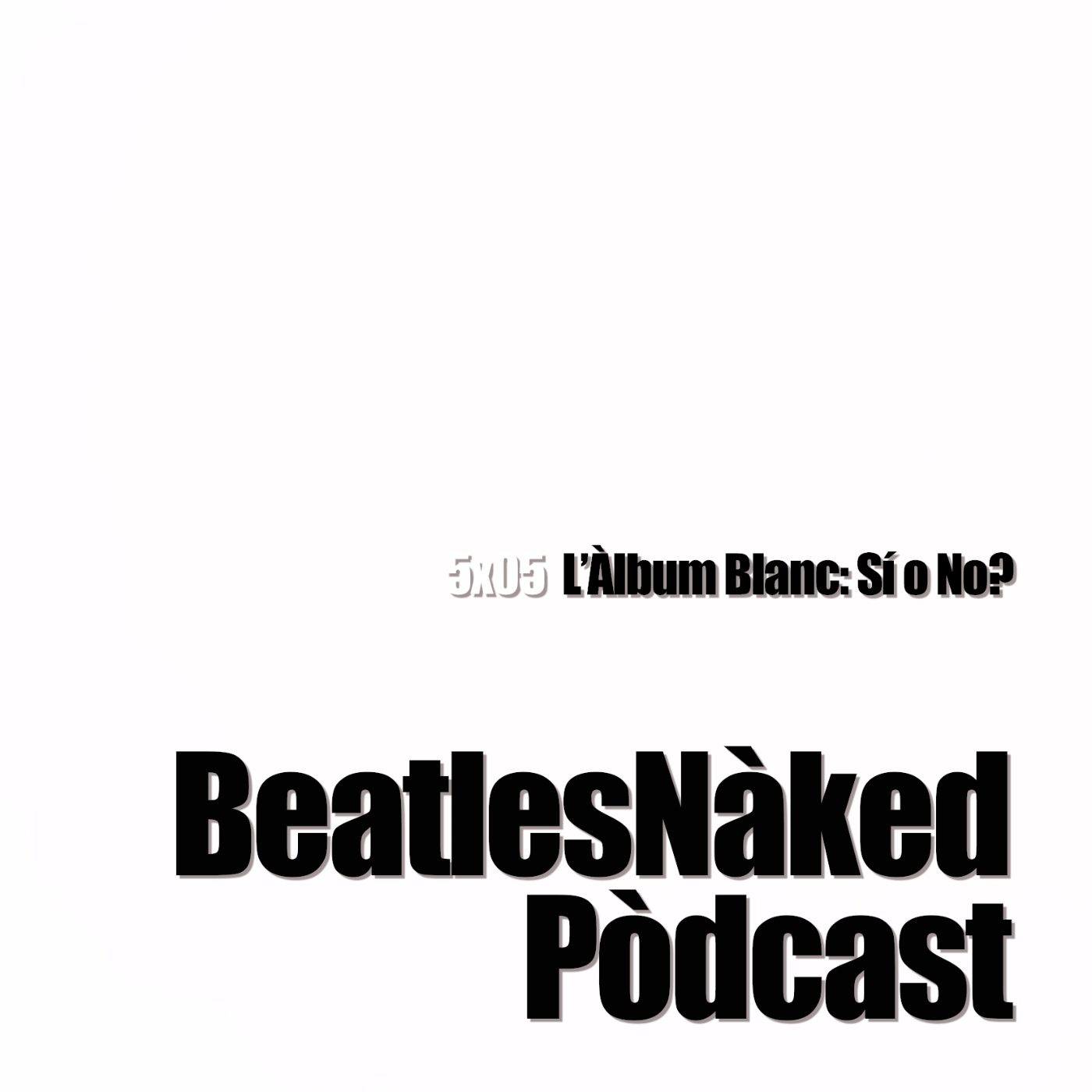 5x05 L'Àlbum Blanc:Si o No?