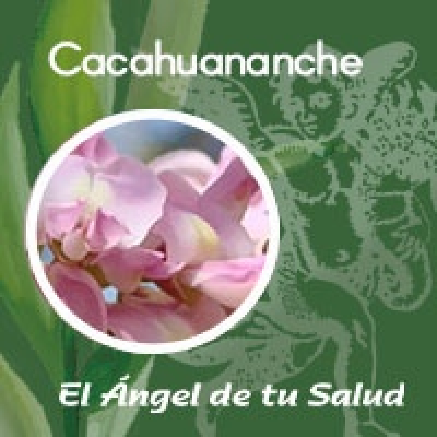 El Ángel de tu Salud - Cacahuananche** episode artwork
