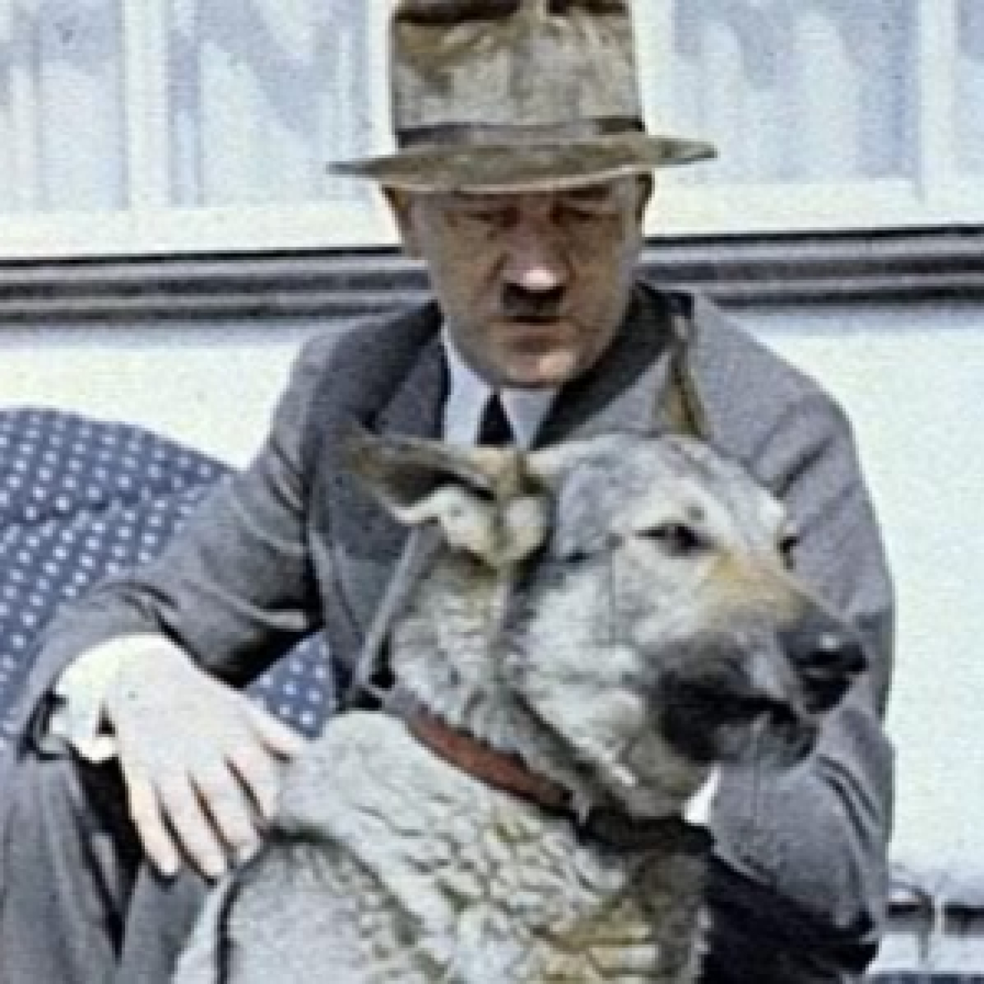 ADOLFO EL GRAN ANIMALISTA Y ECOLOGISTA episode artwork
