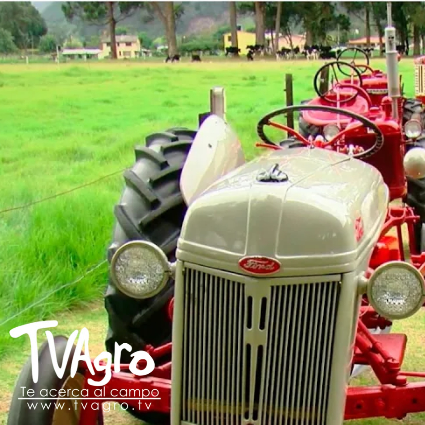 TV AGRO