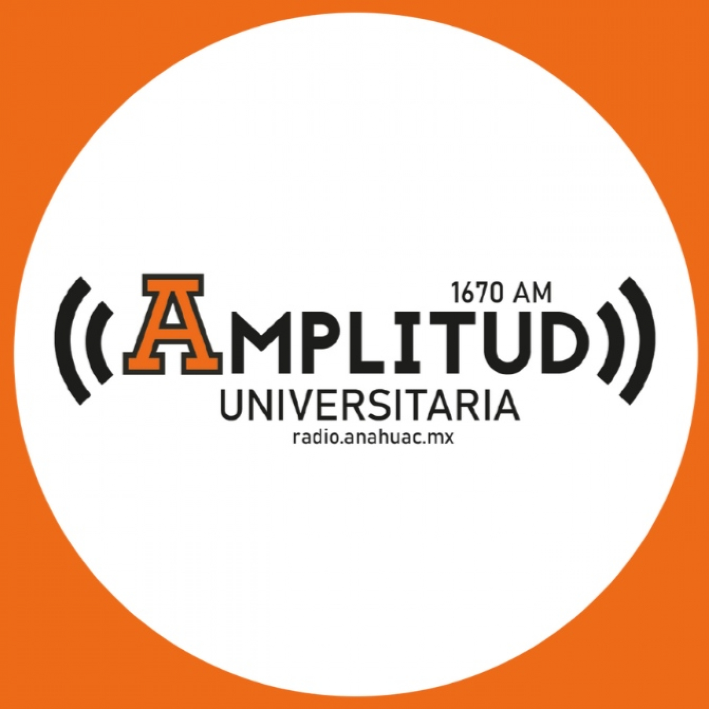 Amplitud Universitaria