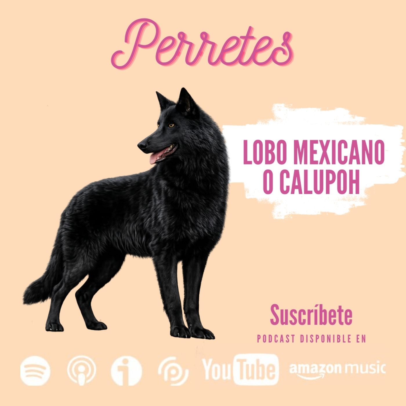 Ep107: Lobo mexicano o Calupoh episode artwork