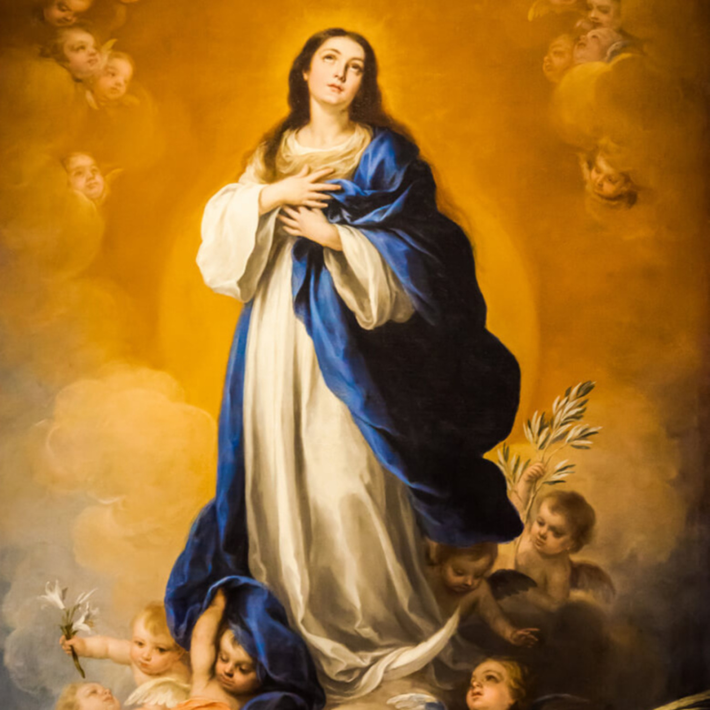 Homilías de Domingo