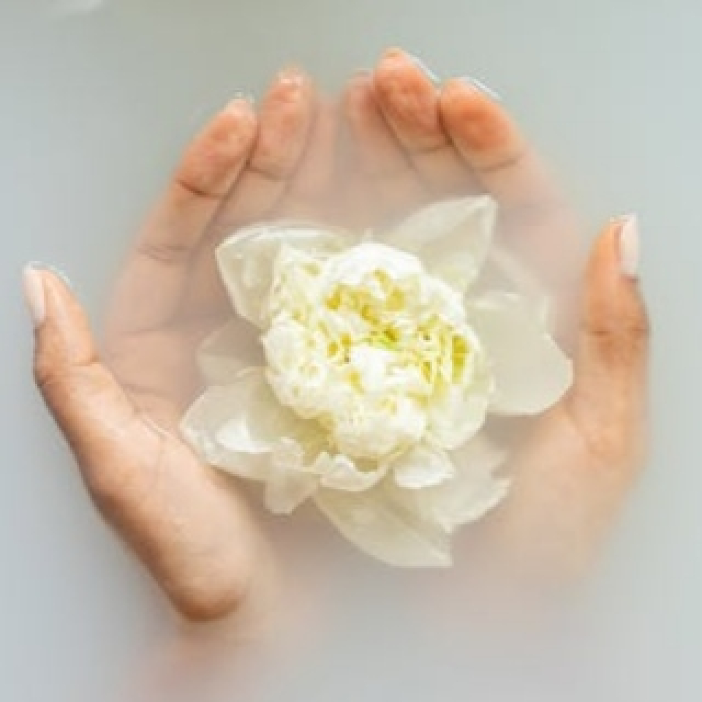 Roger Àlvarez Meditación