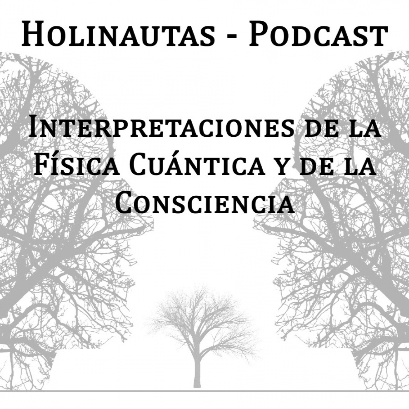 Holinautas