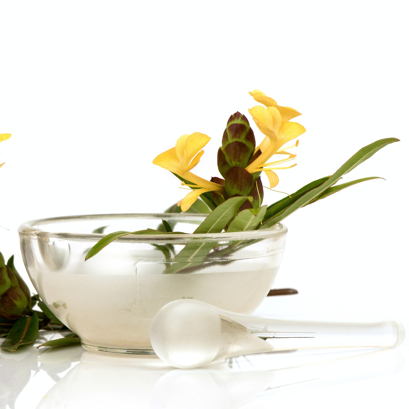 Salud&Naturaleza Programa 40