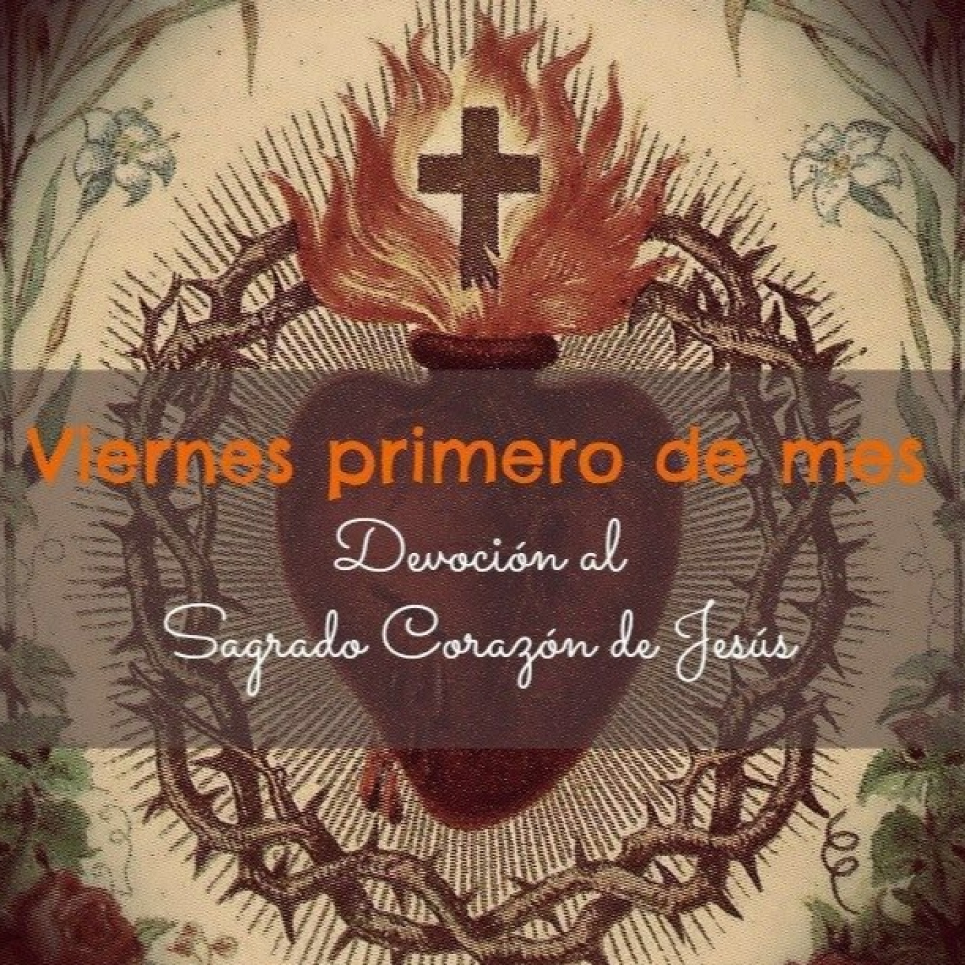 MEDITACIONES. 1er Viernes, otras. D. L.M Castillo