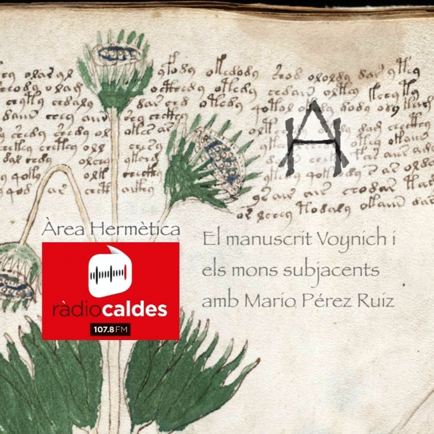 Area Hermetica Misteris