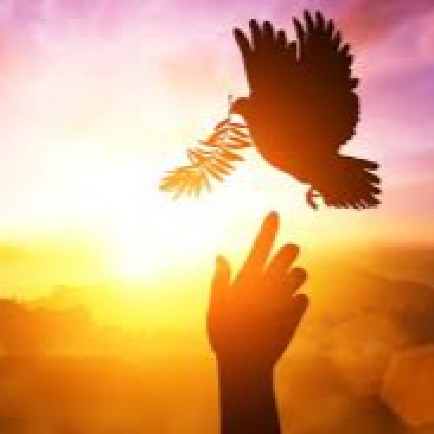 »Un Dios que sale al encuentro»