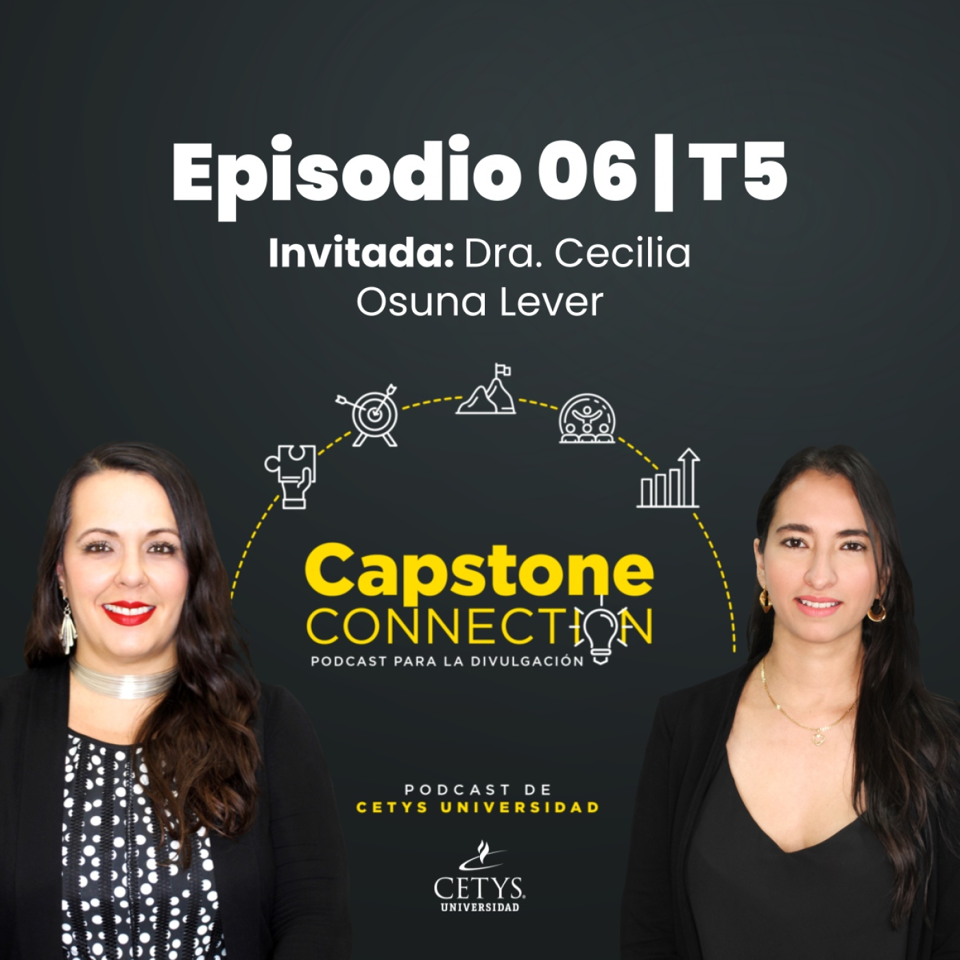 Capstone Connection