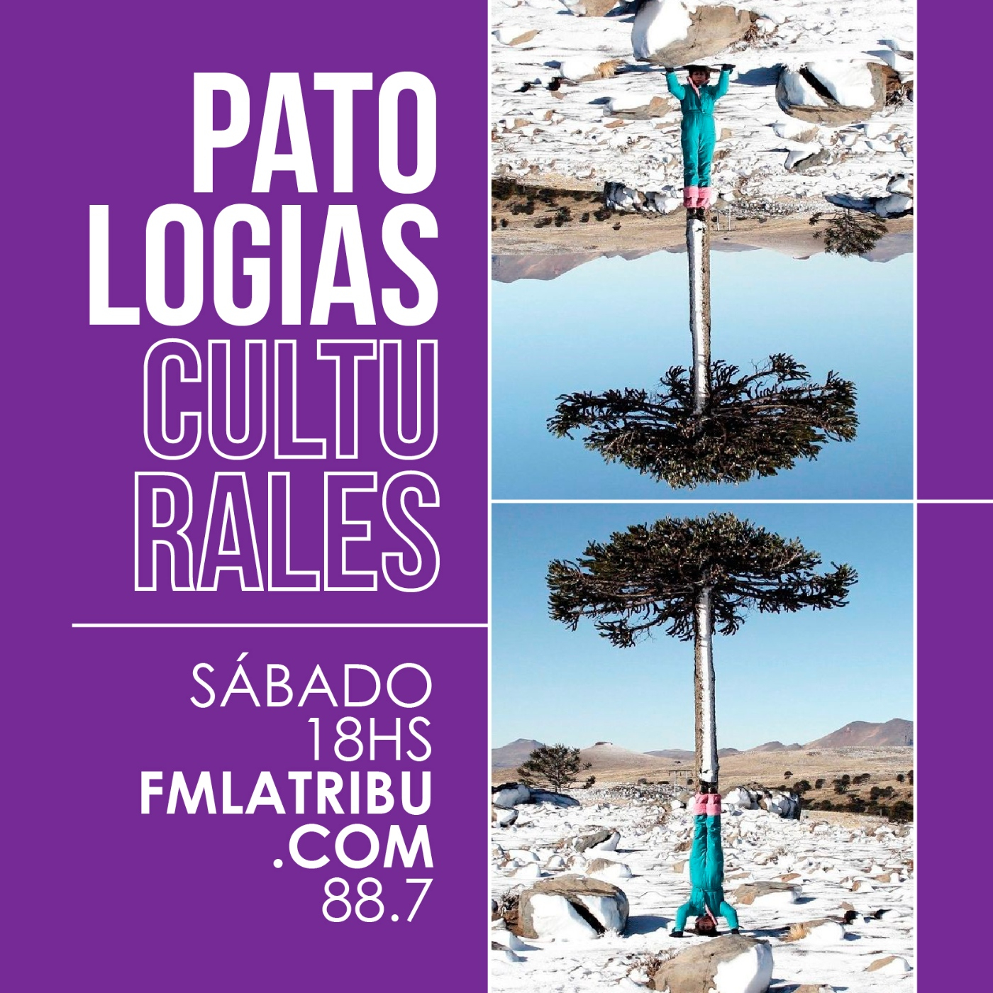 Patologías Culturales