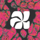 embed image
