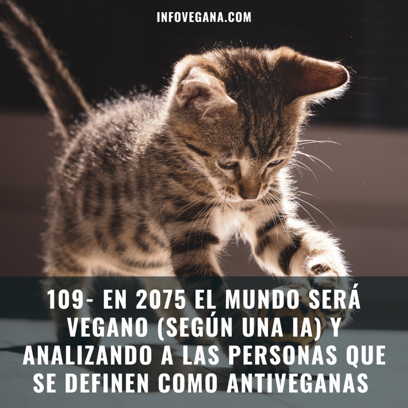Infovegana, podcast de veganismo y sostenibilidad