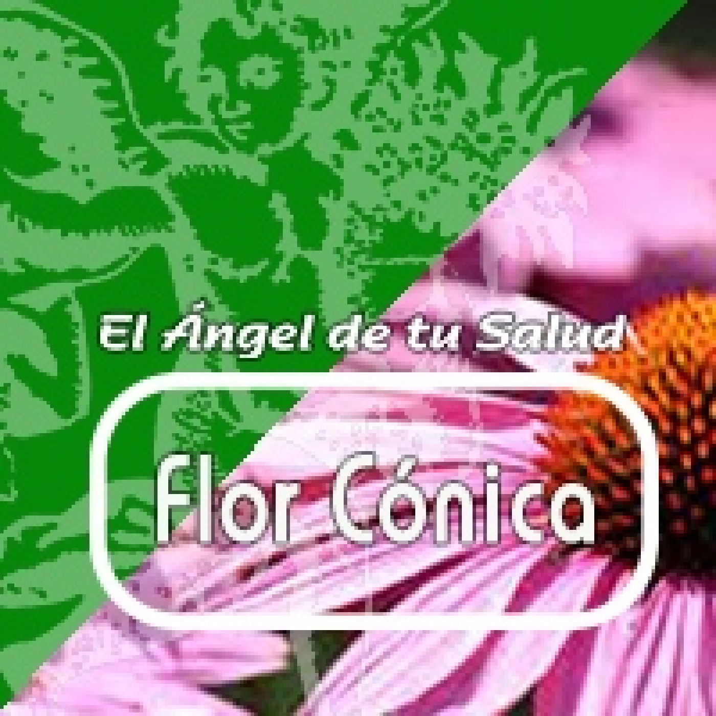 El Ángel de tu Salud - FLOR CÓNICA ***** episode artwork