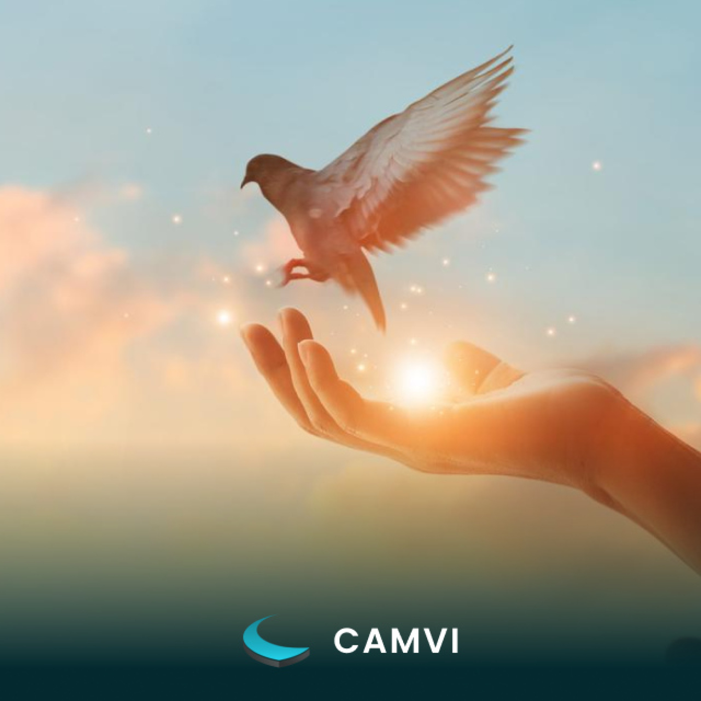 CAMVI