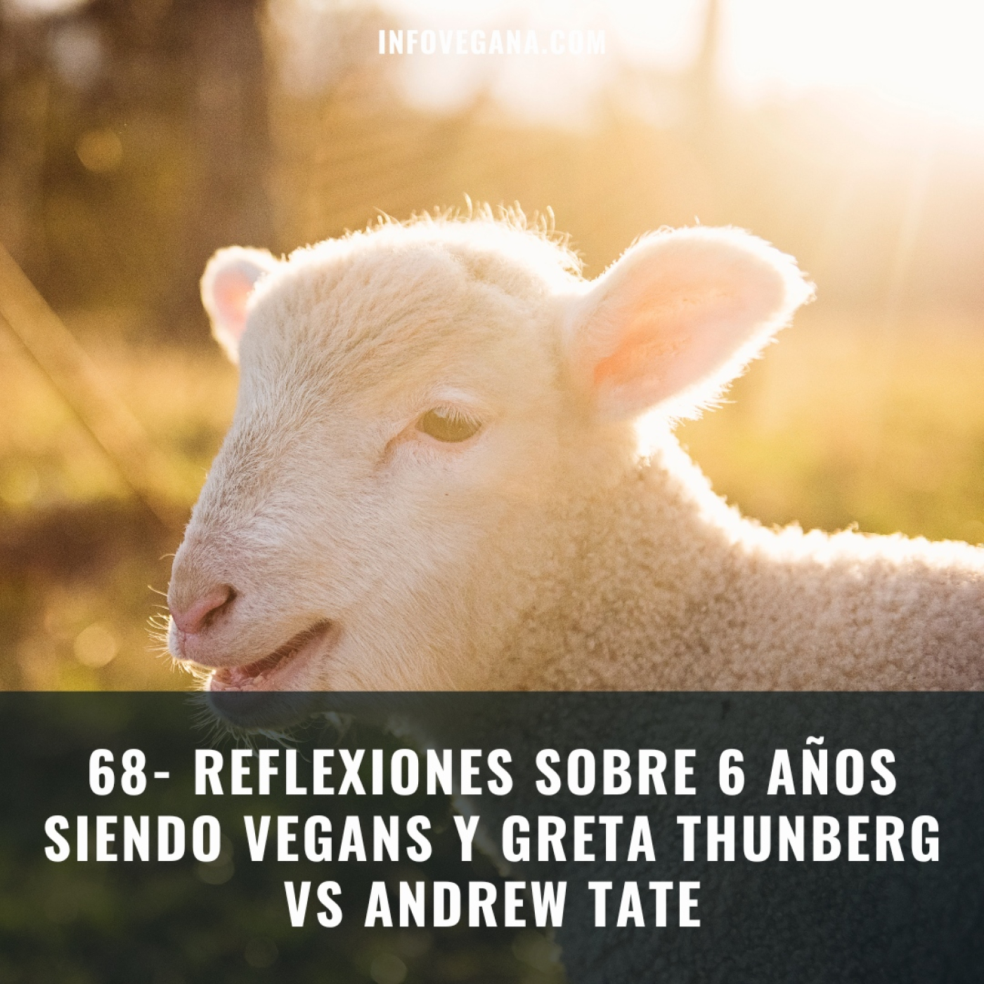 Infovegana, podcast de veganismo y sostenibilidad