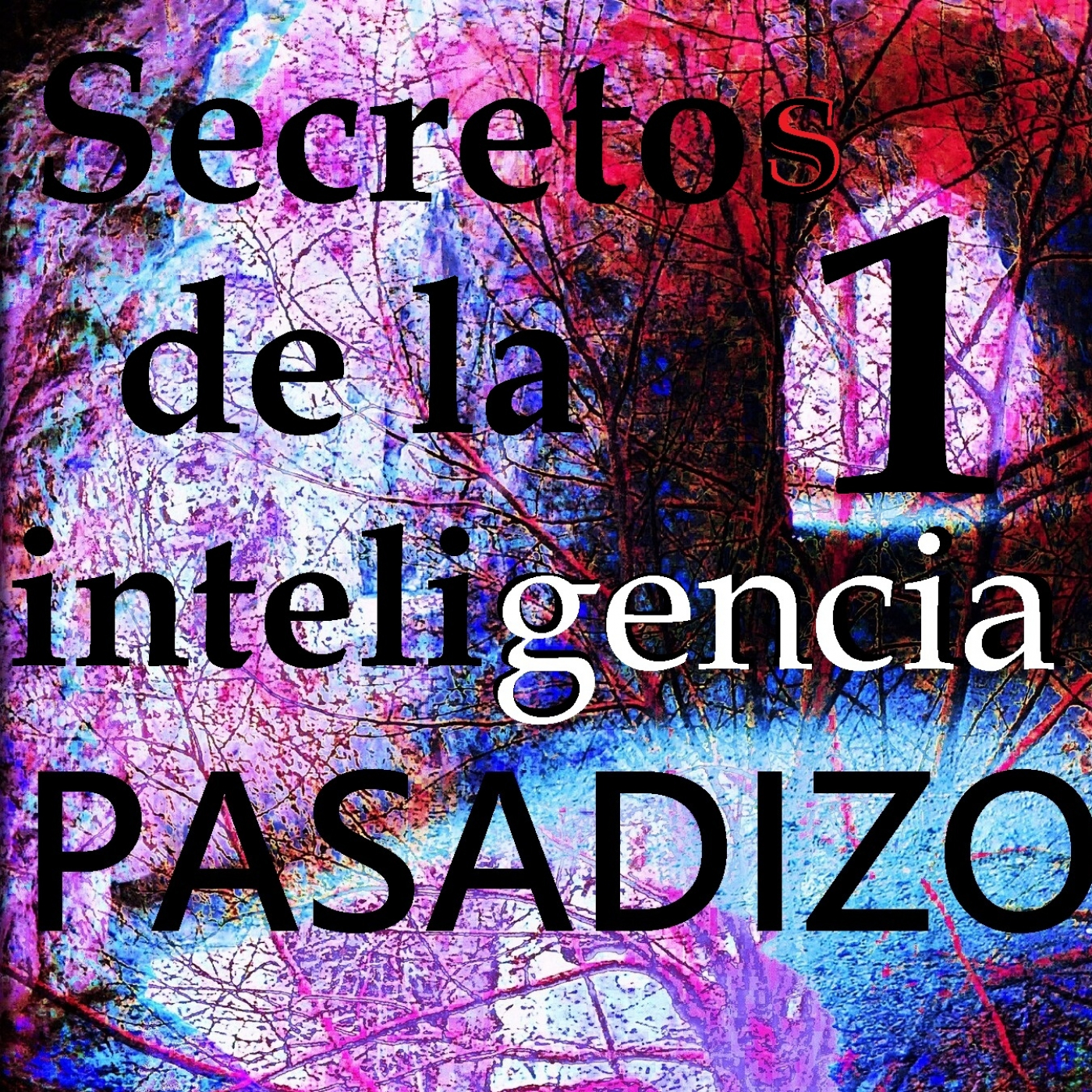 PASADIZO