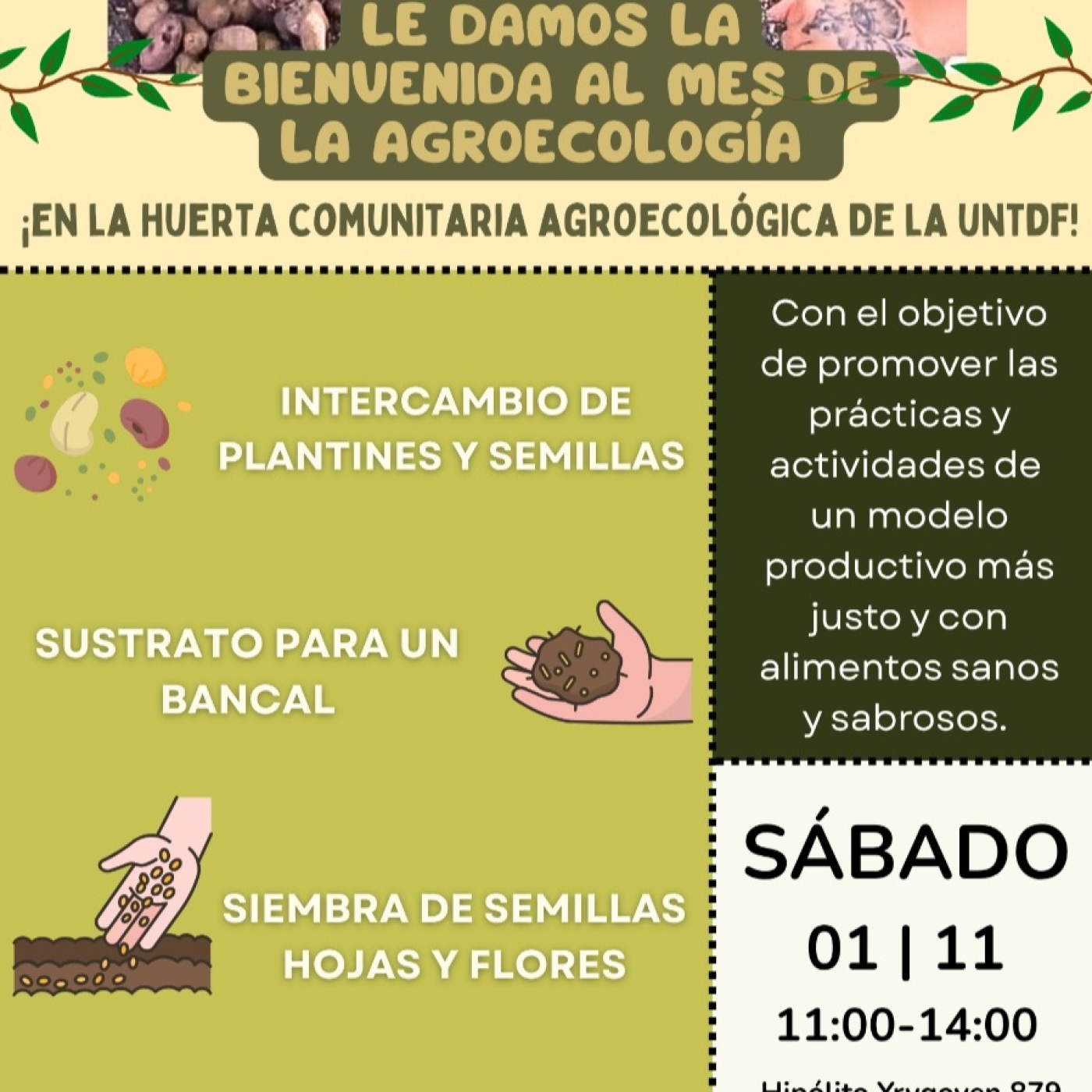 Nota Ecovida 2.0 RPF- Florencia Sánchez - Estudiante Lic. en Ciencias Ambientales- Calisa UNTDF- 31-10-2025 episode artwork